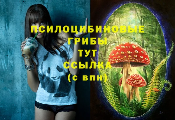 не бодяженный Володарск