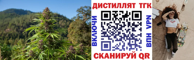 ТГК вейп  Ветлуга 