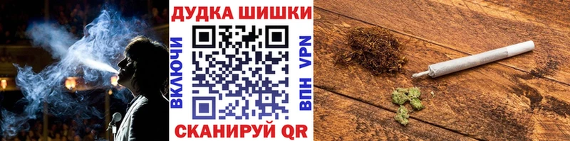 Конопля гибрид  Ветлуга 
